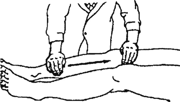 Иллюстрация к книге — Целительные точки организма. Косметический и омолаживающий массаж [i_016.jpg]