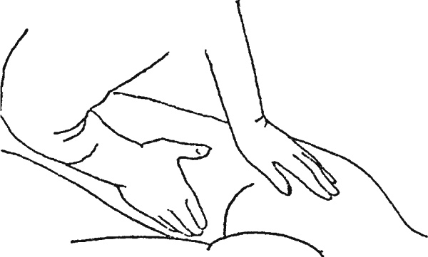 Иллюстрация к книге — Целительные точки организма. Косметический и омолаживающий массаж [i_019.jpg]