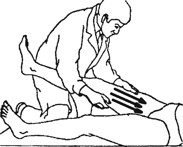 Иллюстрация к книге — Целительные точки организма. Косметический и омолаживающий массаж [i_021.jpg]