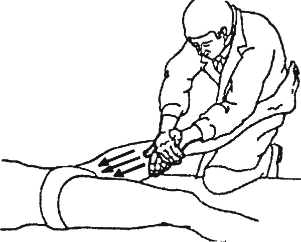 Иллюстрация к книге — Целительные точки организма. Косметический и омолаживающий массаж [i_023.jpg]