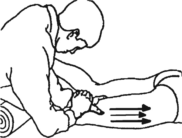 Иллюстрация к книге — Целительные точки организма. Косметический и омолаживающий массаж [i_024.jpg]