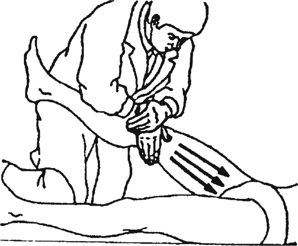 Иллюстрация к книге — Целительные точки организма. Косметический и омолаживающий массаж [i_025.jpg]