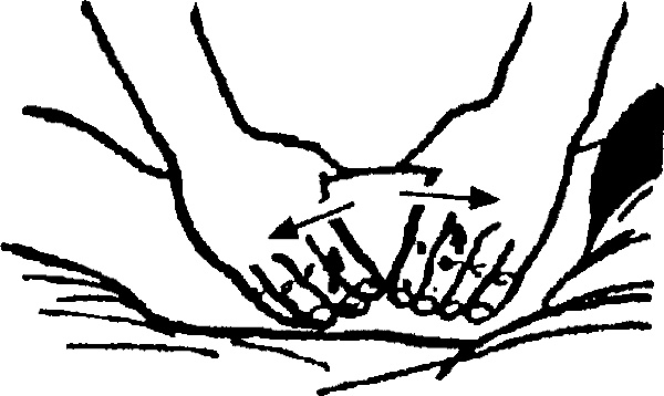 Иллюстрация к книге — Целительные точки организма. Косметический и омолаживающий массаж [i_033.jpg]