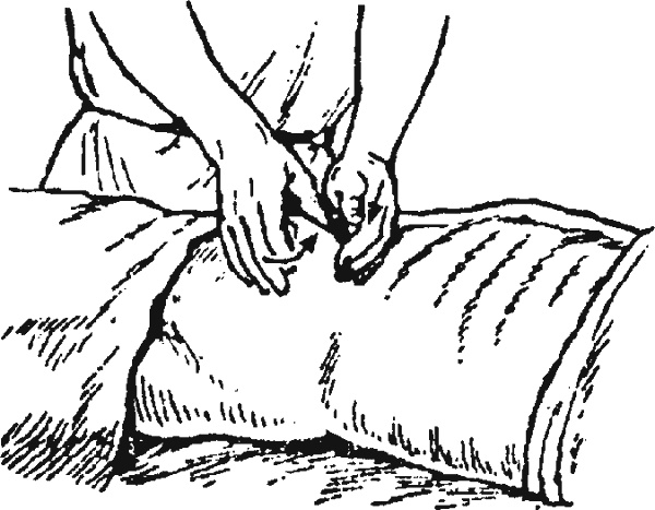 Иллюстрация к книге — Целительные точки организма. Косметический и омолаживающий массаж [i_036.jpg]