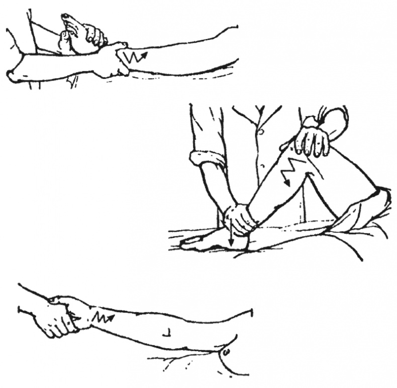 Иллюстрация к книге — Целительные точки организма. Косметический и омолаживающий массаж [i_042.jpg]