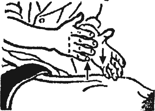 Иллюстрация к книге — Целительные точки организма. Косметический и омолаживающий массаж [i_043.jpg]