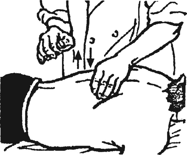 Иллюстрация к книге — Целительные точки организма. Косметический и омолаживающий массаж [i_044.jpg]