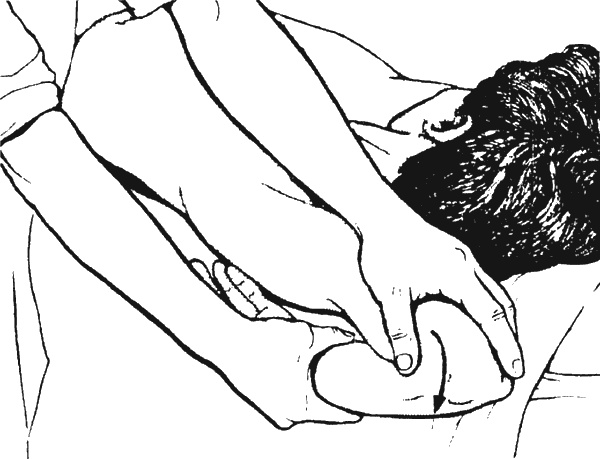 Иллюстрация к книге — Целительные точки организма. Косметический и омолаживающий массаж [i_051.jpg]