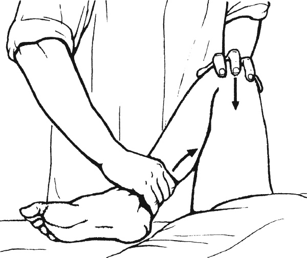 Иллюстрация к книге — Целительные точки организма. Косметический и омолаживающий массаж [i_055.jpg]