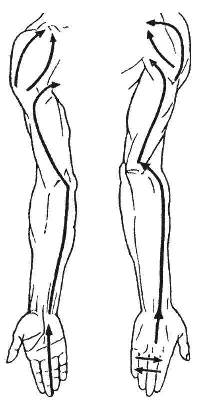 Иллюстрация к книге — Целительные точки организма. Косметический и омолаживающий массаж [i_060.jpg]