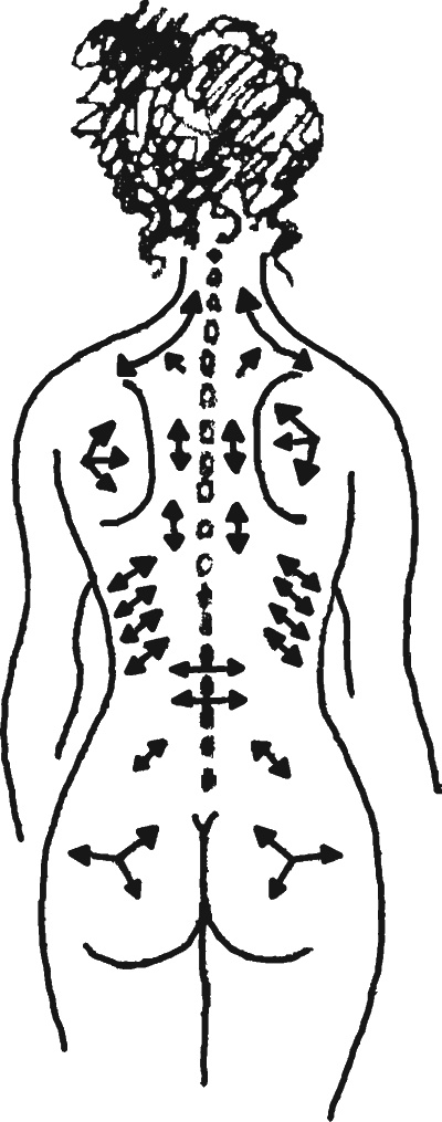 Иллюстрация к книге — Целительные точки организма. Косметический и омолаживающий массаж [i_074.jpg]