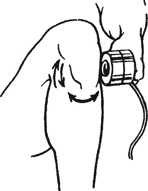 Иллюстрация к книге — Целительные точки организма. Косметический и омолаживающий массаж [i_096.jpg]