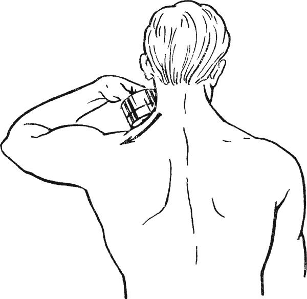 Иллюстрация к книге — Целительные точки организма. Косметический и омолаживающий массаж [i_109.jpg]