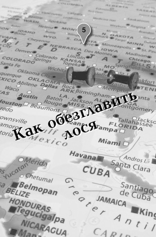 Иллюстрация к книге — Большое путешествие Эми и Роджера [i_007.jpg]