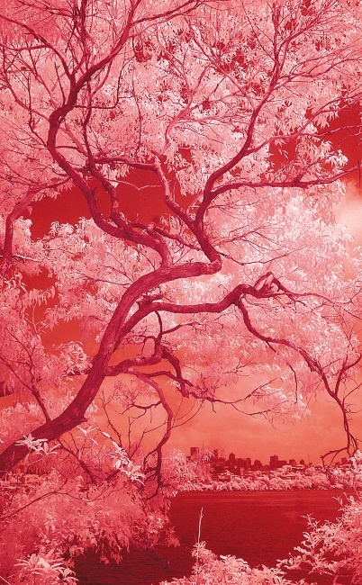 Иллюстрация к книге — Кто боится современного искусства? [i_008.jpg]