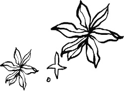 Иллюстрация к книге — Золотой стриж [i_013.jpg]