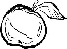 Иллюстрация к книге — Золотой стриж [i_019.jpg]