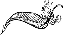 Иллюстрация к книге — Золотой стриж [i_036.jpg]