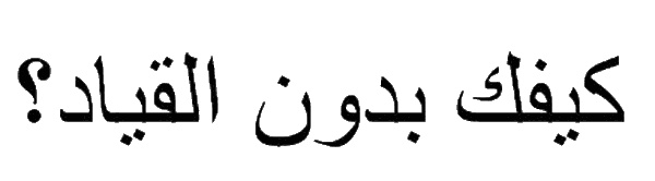 Иллюстрация к книге — Все, способные дышать дыхание [i_003.jpg]