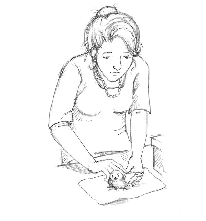 Иллюстрация к книге — Совёнок Матильда, или Три добрых дела [i_004.jpg]