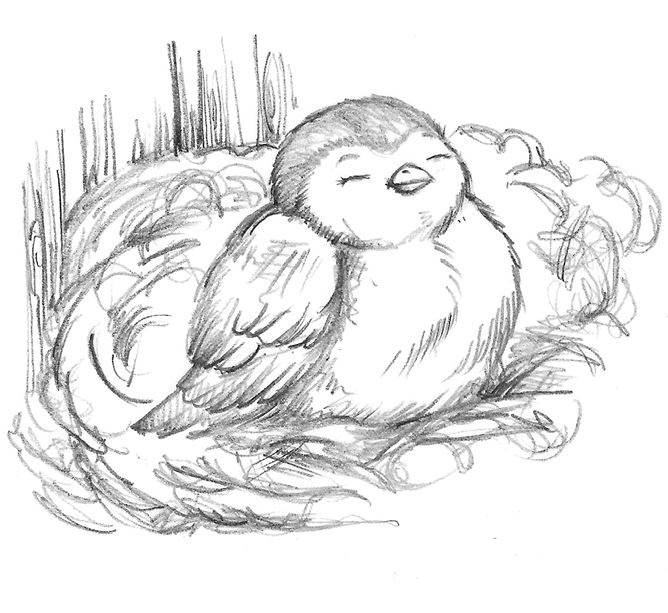 Иллюстрация к книге — Совёнок Матильда, или Три добрых дела [i_005.jpg]