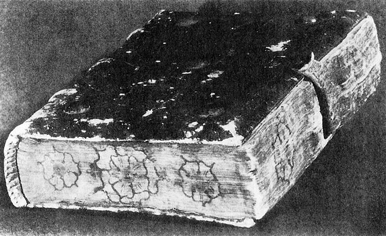 Иллюстрация к книге — Книга на книжной полке [i_066.jpg]