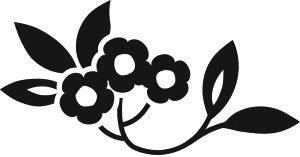 Иллюстрация к книге — Книга на книжной полке [i_069.jpg]