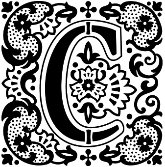 Иллюстрация к книге — Книга на книжной полке [i_072.jpg]