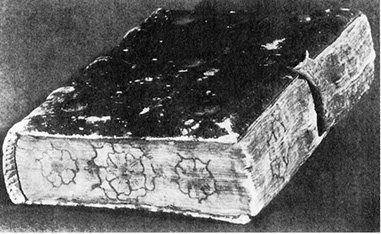 Иллюстрация к книге — Книга на книжной полке [i_155.jpg]