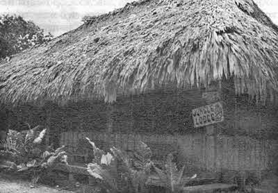 Иллюстрация к книге — День, когда явились боги [i_004.jpg]