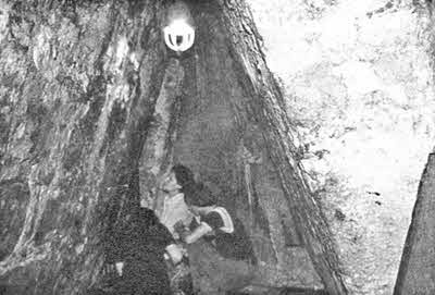 Иллюстрация к книге — День, когда явились боги [i_116.jpg]