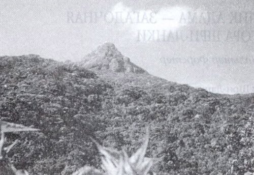 Иллюстрация к книге — Пришельцы из вселенной [i_047.jpg]