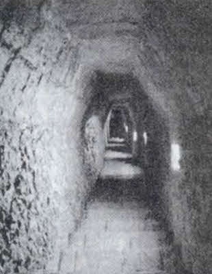 Иллюстрация к книге — Пришельцы из вселенной [i_087.jpg]