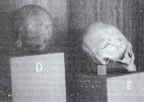 Иллюстрация к книге — Пришельцы из вселенной [i_102.jpg]