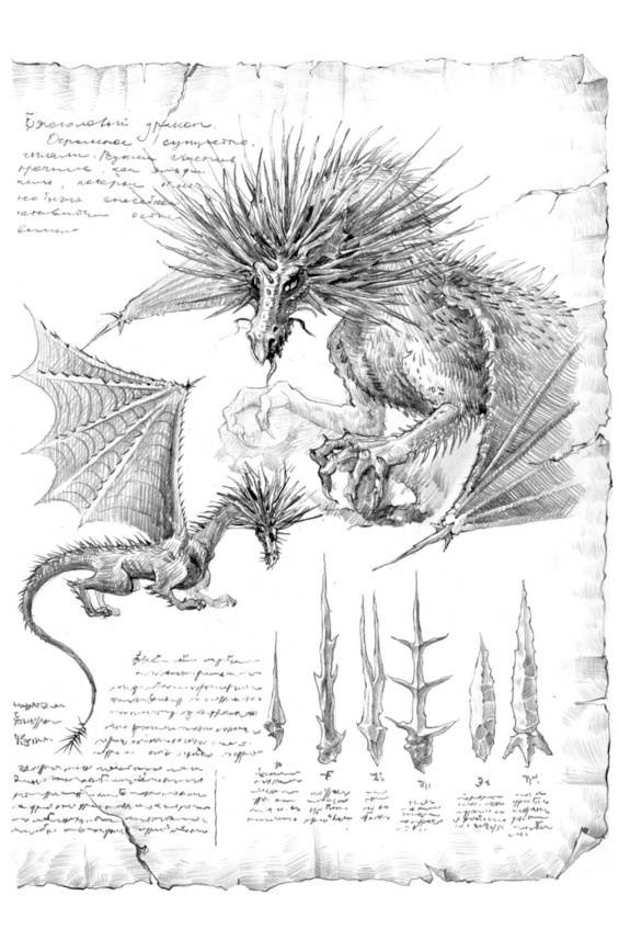 Иллюстрация к книге — Путь Эрто [image49_5c08949f140db507006e84db_jpg.jpg]