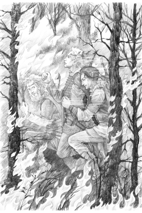 Иллюстрация к книге — Путь Эрто [image63_5c09f36b5a6f550700b323d1_jpg.jpg]