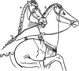 Иллюстрация к книге — История культуры народов мира. Древняя Греция. Истоки европейской цивилизации [i_063.jpg]