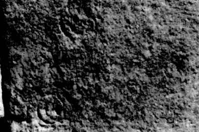 Иллюстрация к книге — Мистерия созвездия Лебедя [i_027.jpg]