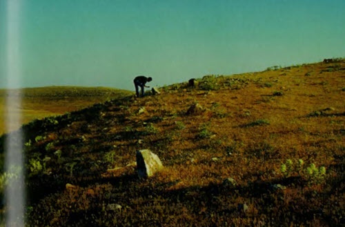 Иллюстрация к книге — Мистерия созвездия Лебедя [i_050.jpg]