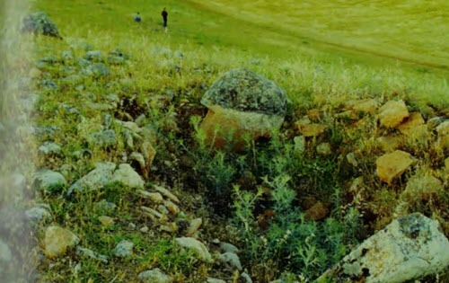 Иллюстрация к книге — Мистерия созвездия Лебедя [i_051.jpg]