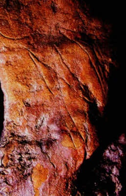 Иллюстрация к книге — Мистерия созвездия Лебедя [i_068.jpg]