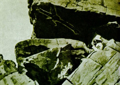 Иллюстрация к книге — Мистерия созвездия Лебедя [i_072.jpg]