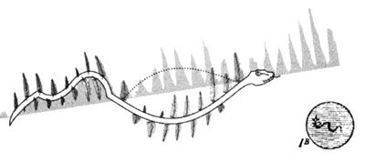 Иллюстрация к книге — Пророчества Тутанхамона [i_019.jpg]