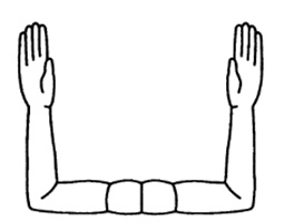 Иллюстрация к книге — Пророчества Тутанхамона [i_039.jpg]