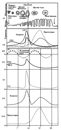 Иллюстрация к книге — Пророчества Тутанхамона [i_163.jpg]