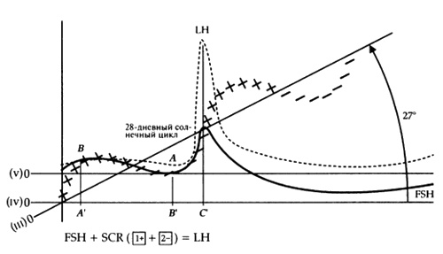 Иллюстрация к книге — Пророчества Тутанхамона [i_165.jpg]