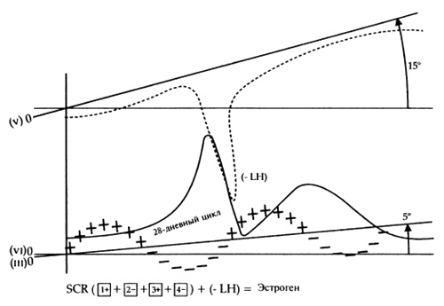 Иллюстрация к книге — Пророчества Тутанхамона [i_166.jpg]