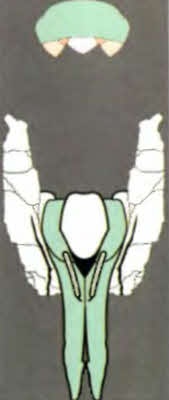 Иллюстрация к книге — Сверхбоги. Они спасли человечество... [i_091.jpg]