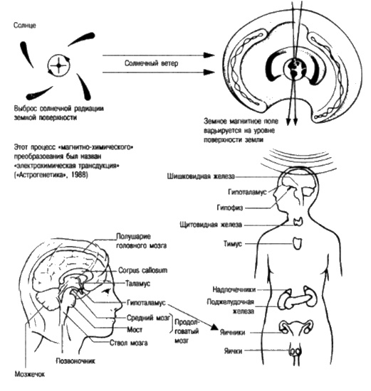 Иллюстрация к книге — Сверхбоги. Они спасли человечество... [i_132.jpg]