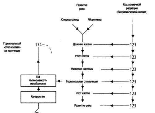 Иллюстрация к книге — Сверхбоги. Они спасли человечество... [i_137.jpg]